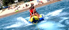 Mango Tours